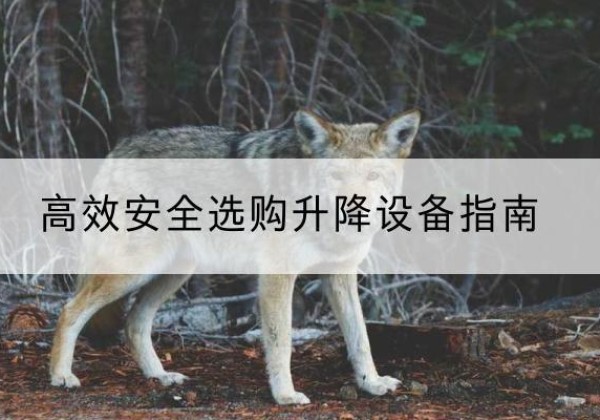 清河升降货梯厂家推荐-*安全选购升降设备指南