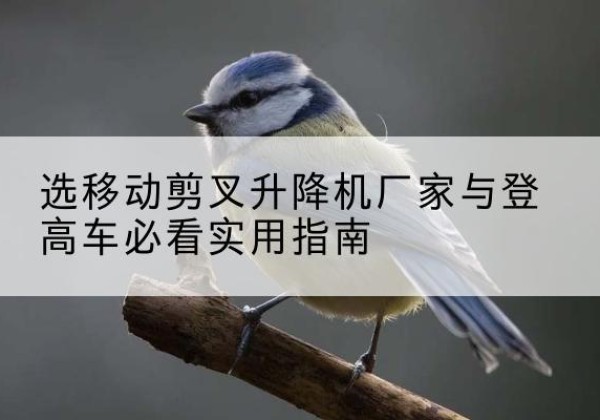 清河电动升降机厂家-选移动剪叉升降机厂家与登高车必看实用指南