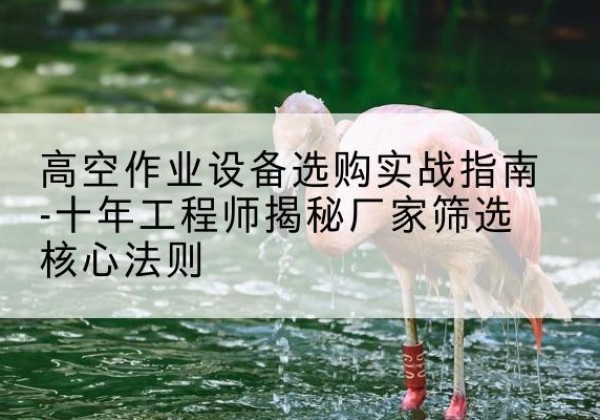 清河剪叉式升降机厂家-高空作业设备选购实战指南-十年工程师揭秘厂家筛选核心法则